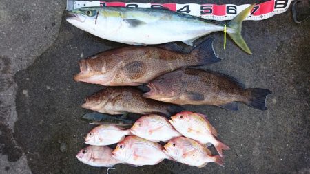 徳島県南タイラバ&ライトジギング