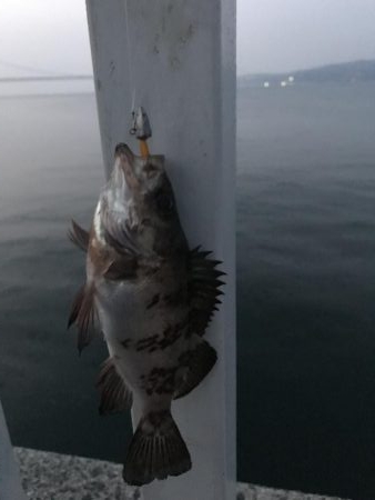 アナハゼ も楽しい！