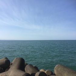 カサゴの煮付け