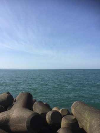 カサゴの煮付け