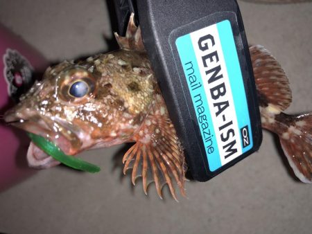 奴らは意外と足元に…！！