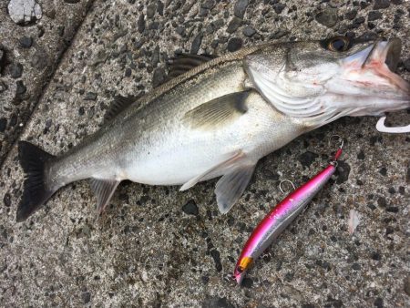 荒天ランガンプラッギング