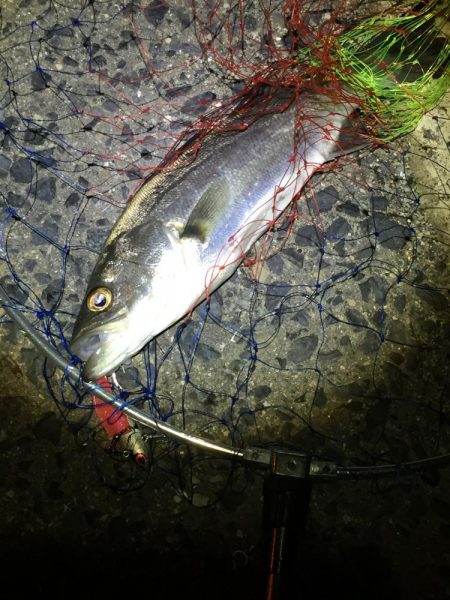 チーバスゲット！