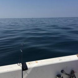 いい日もあるけど3月なかなか厳しい！