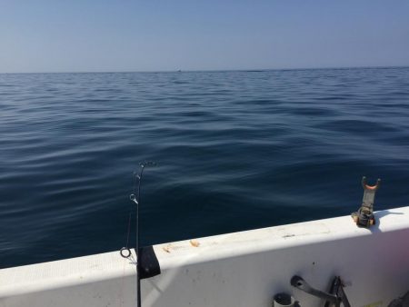 いい日もあるけど3月なかなか厳しい！