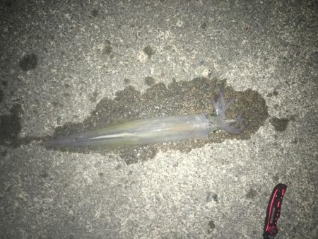 サイズアップ！