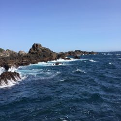 グレフカセ厳しい