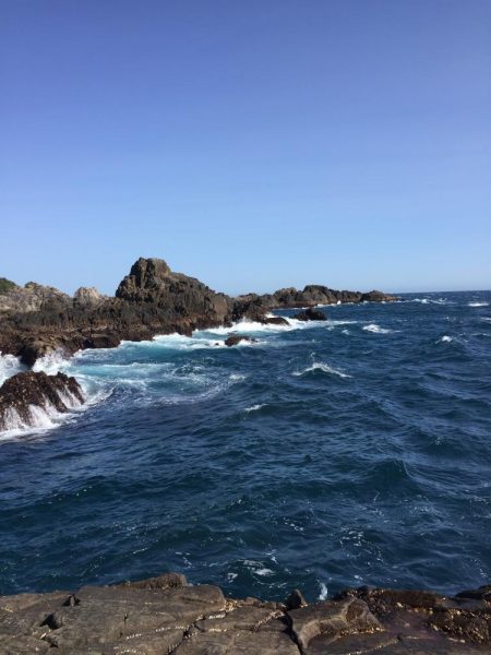 グレフカセ厳しい