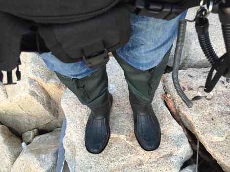 ボラ祭り後にやっとチヌ！