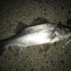 サイズダウン(//∇//)