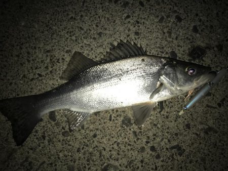 サイズダウン(//∇//)