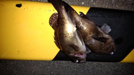 先週のリベンジ