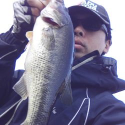 早春の高山ダムにて…