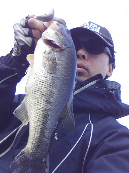 早春の高山ダムにて…