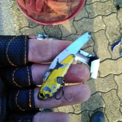 初めてのマルチ安打♪