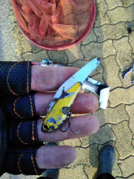 初めてのマルチ安打♪