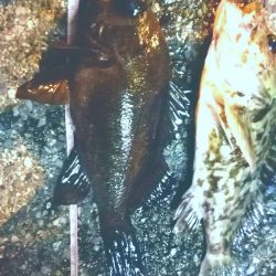 冬のような寒さ