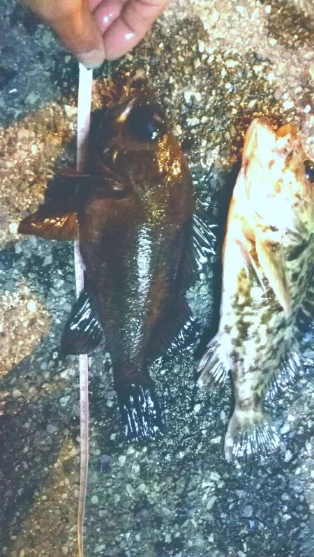 冬のような寒さ