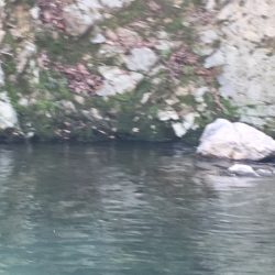 場所選びが大事