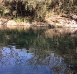 そこそこ釣れました