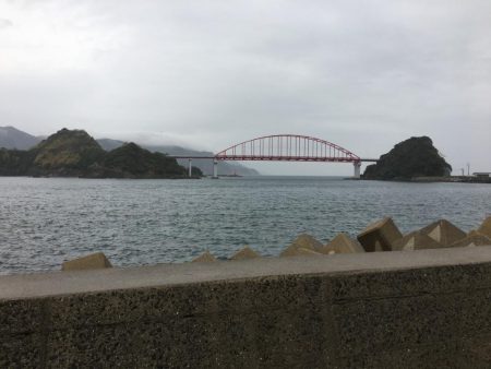 アジの泳がせで