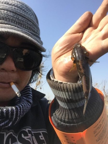 多摩川で鯉と沼チチブ釣りました。