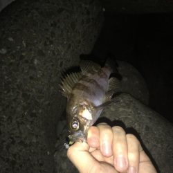 時合にハメて♪