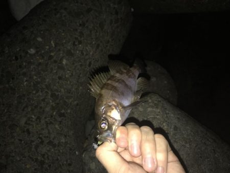 時合にハメて♪