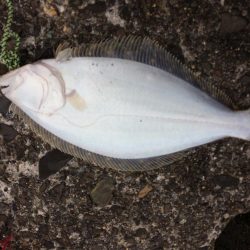 荒れた後はチャンスかと