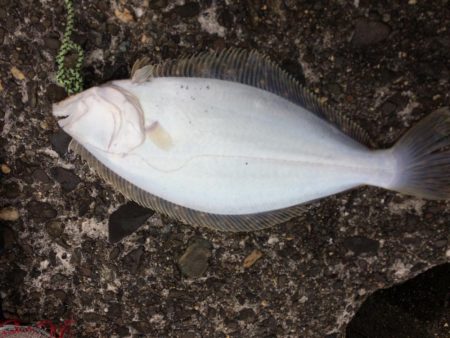 荒れた後はチャンスかと