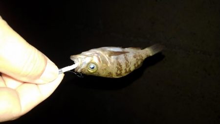 ４月になりました