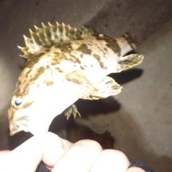 仕事おわりのショートゲーム