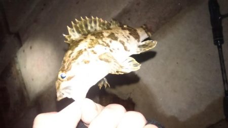 仕事おわりのショートゲーム