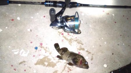 江井ヶ島リベンジ(・ε・｀ )