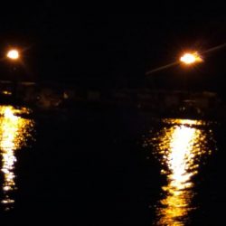 消化不良なメバリング