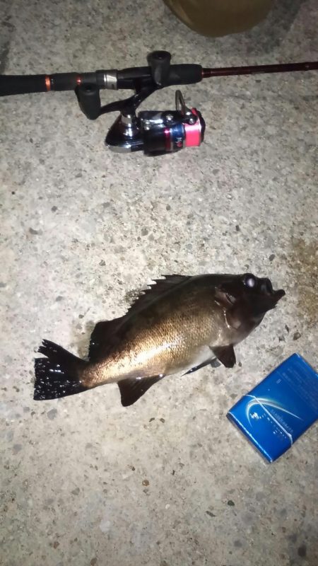 久々のライトゲーム