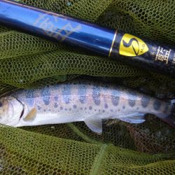 渓流釣り解禁後の初釣行