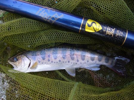 渓流釣り解禁後の初釣行