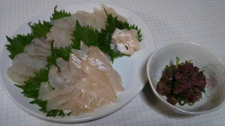 アジを狙いに行ったら・・・