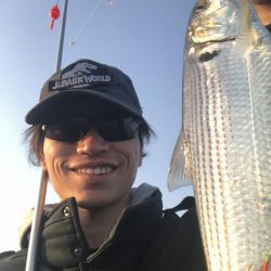 福井 突堤サビキ釣果