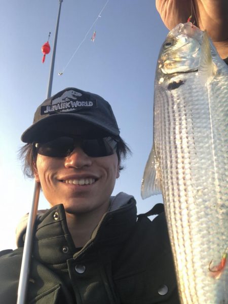 福井 突堤サビキ釣果