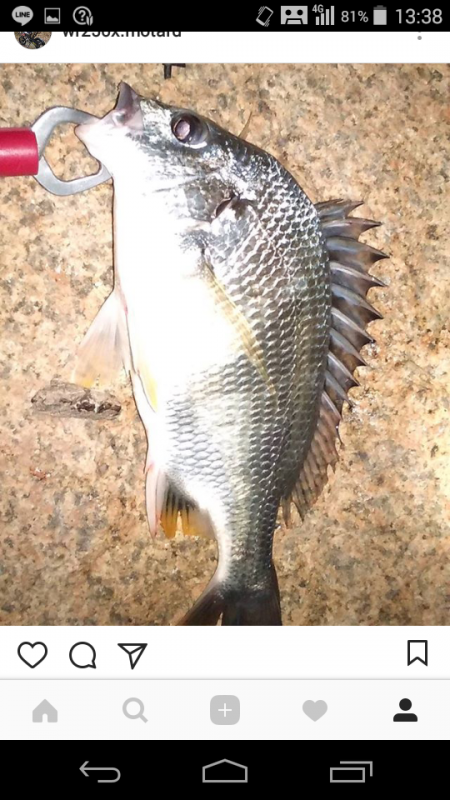 ホームでのBBQライトゲーム