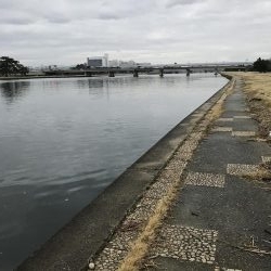 武庫川河口ライトゲーム