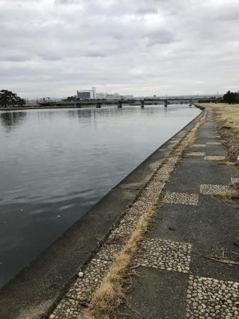 武庫川河口ライトゲーム