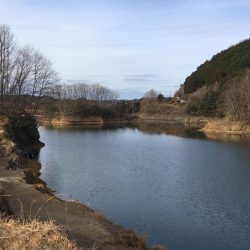 ワカサギ釣り、上津ダム壊滅的、布目ダム絶好調