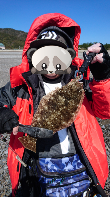 メジロ、サワラ、ヒラメ、絶好調