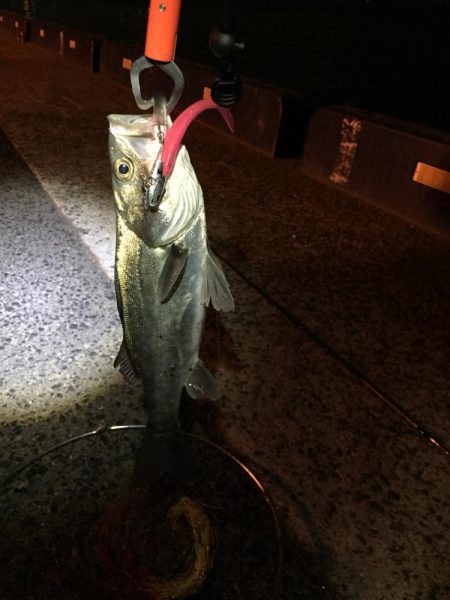 チーバスゲット！