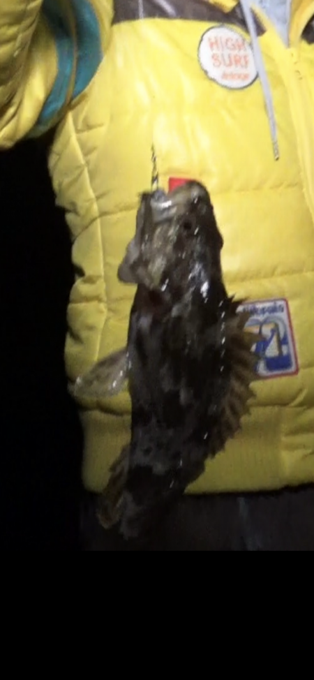 メバガシリングでオーセイ！