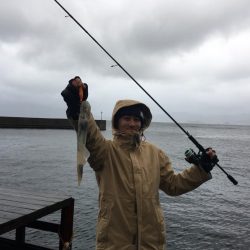 爆風の中の奇跡のイカ