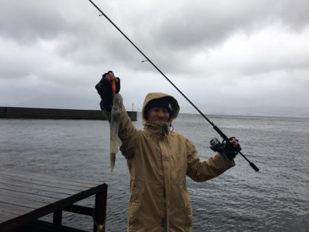 爆風の中の奇跡のイカ